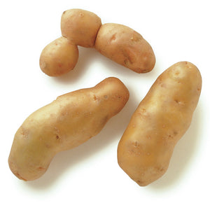 1.5lb - ONTARIO Fingerling Potatoes
