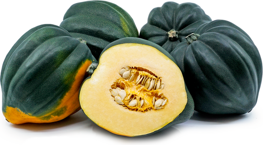 1 PC - LOCAL Acorn Squash SPECIAL!