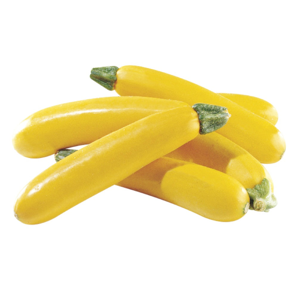 1.5lb - Yellow Zucchini