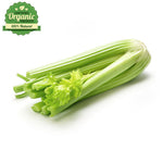 1 PC - Fresh ORGANIC Celery Bundle