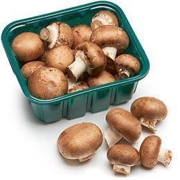 1 PACK - Ontario Brown Mushroom Pack SPECIAL!