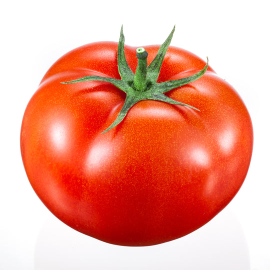 1 PC - CANADIAN BeefSteak Tomato SPECIAL! MUST TRY RED & Beautiful