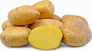 5LBS - Local Ontario Yukon Gold Potatoes