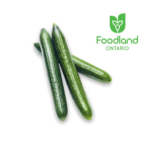 1 PC - Local English Cucumbers SPECIAL!