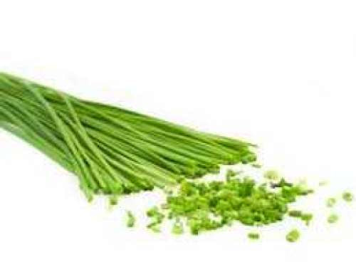 Herbs - Chives