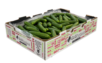 20 lb - LOCAL Mini Cucumber Box SPECIAL!