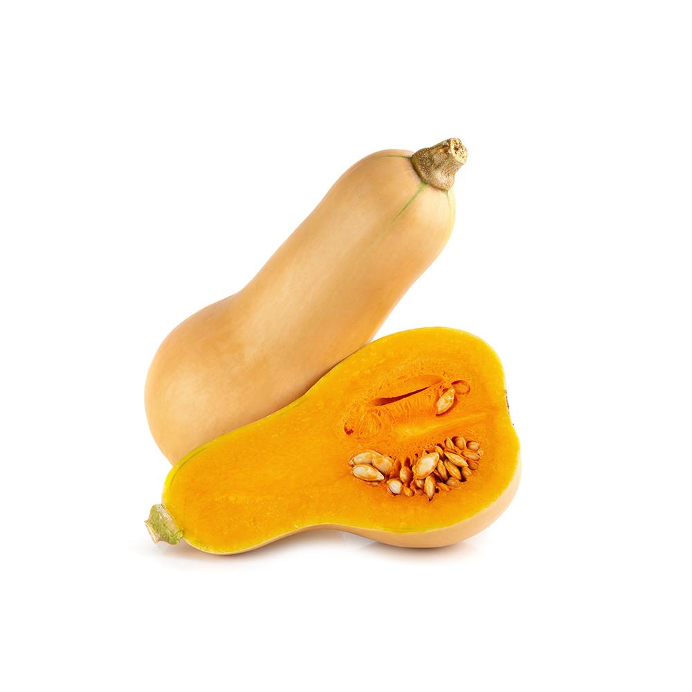 1 PC- LOCAL Butternut Squash SPECIAL!