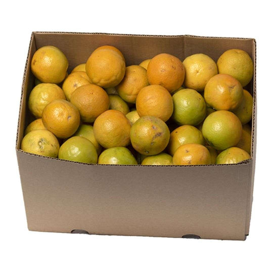 30lb Case - JUICING Oranges - Rough on outside Juicy inside!