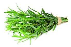Herbs - Tarragon