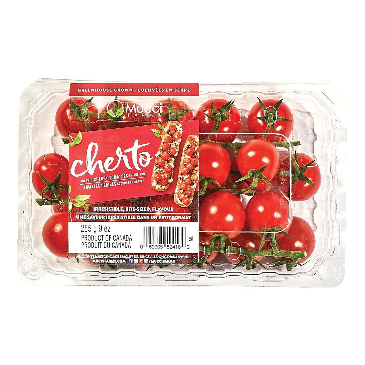 SUPER SWEET Cherto Tomatoes on the Vine SPECIAL!