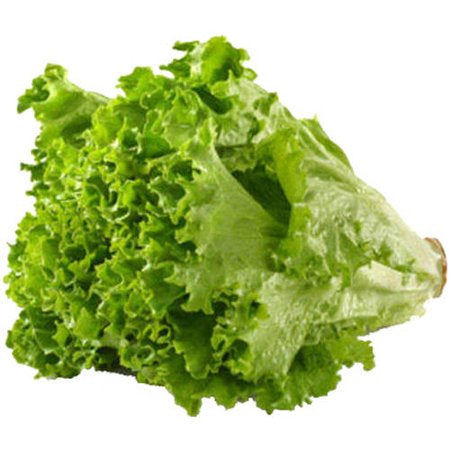 Lettuce - Green Leaf