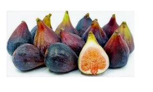 Fresh Figs Tray of 8! SPECIAL!