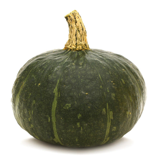 1 PC - ONTARIO Buttercup Squash SPECIAL!