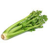 1 PC - Fresh ORGANIC Celery Bundle