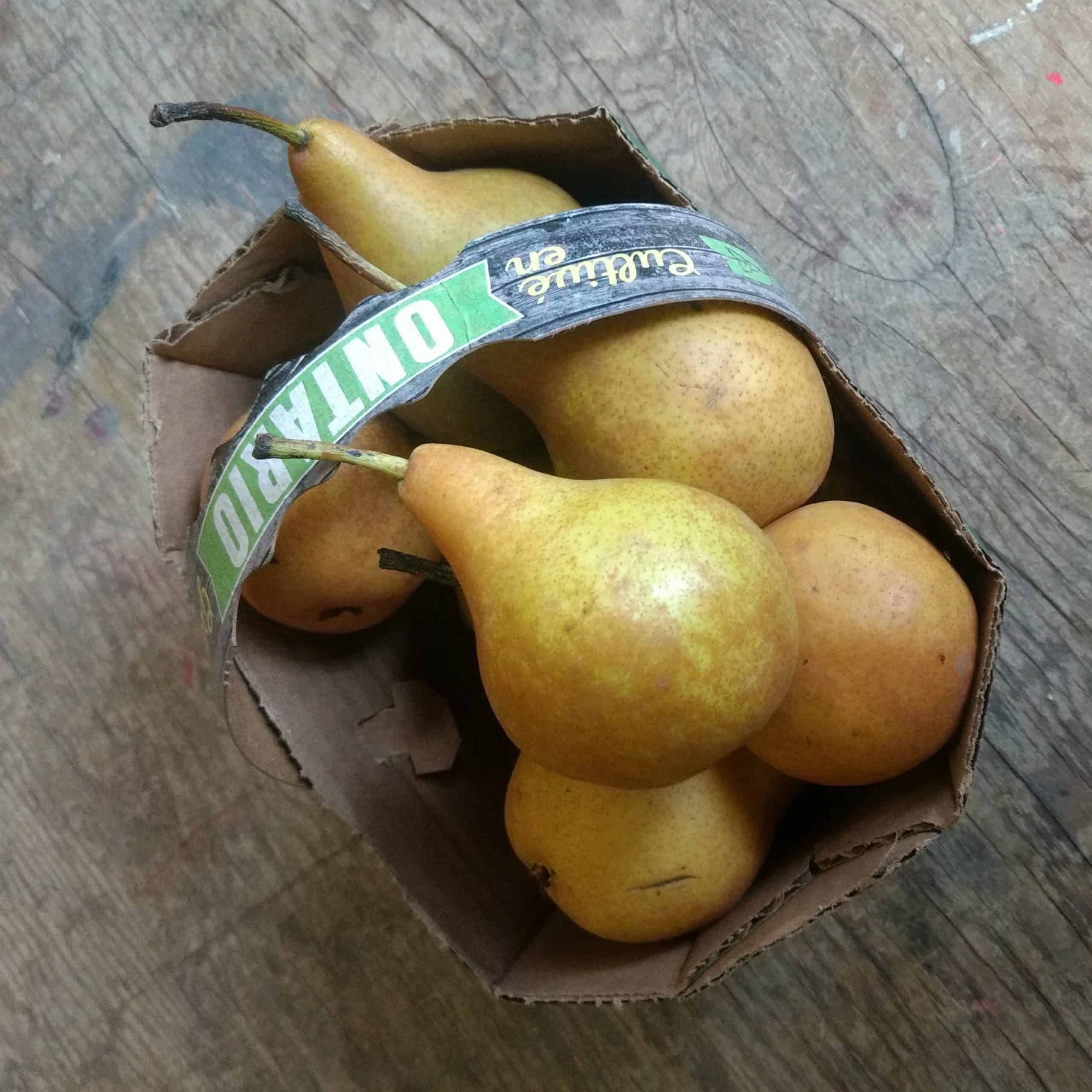 2L Basket - ONTARIO Bosc Pears SPECIAL!