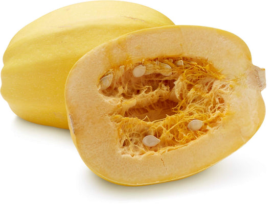 1 PC - ONTARIO Spaghetti Squash SPECIAL! FALL PROMOTION!