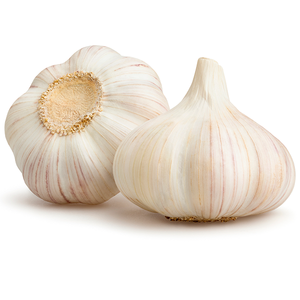 1 PC - Fresh White Garlic Bulb