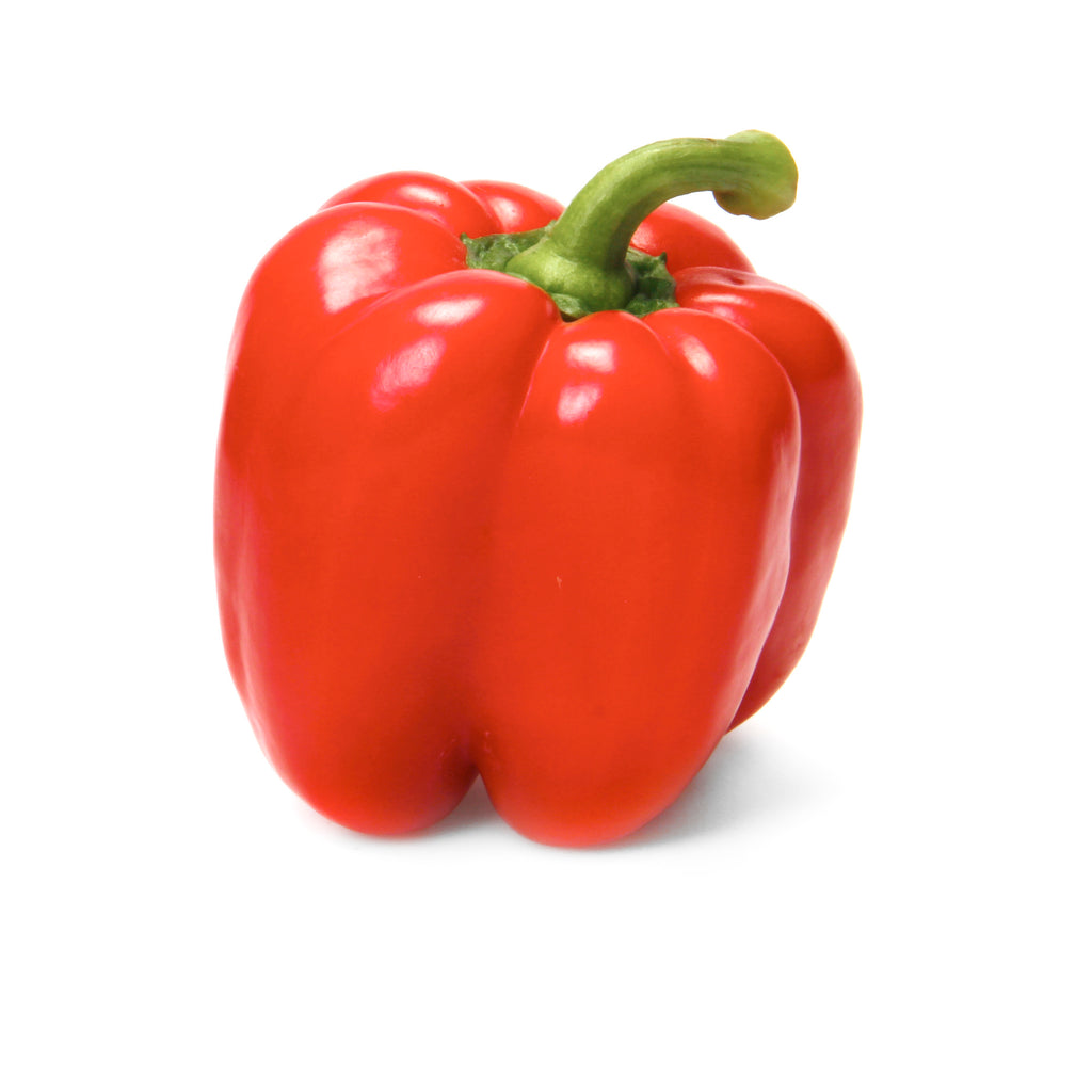 1 PC - Fresh ORGANIC Red Pepper