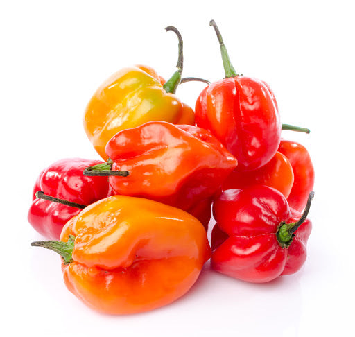1LB - Red Habanero Peppers