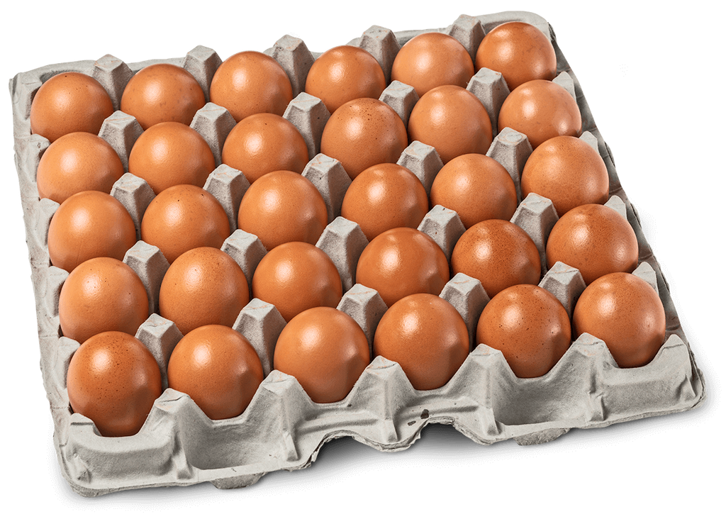 30 Flat - ORGANIC Free Range Large Brown Eggs SPECIAL!