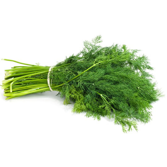 Herb- Fresh Dill Bunch